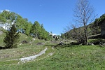 Alpe Alagua (mt.1150)